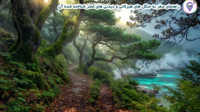 کشف جنگل های هیرکانی: راهنمای سفر به بکرترین طبیعت ایران 21 راهنمای سفر به جنگل های هیرکانی و دیدنی های کمتر شناخته شده آن