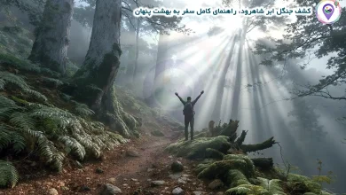 کشف جنگل ابر شاهرود، راهنمای کامل سفر به بهشت پنهان 22 کشف جنگل ابر شاهرود، راهنمای کامل سفر به بهشت پنهان